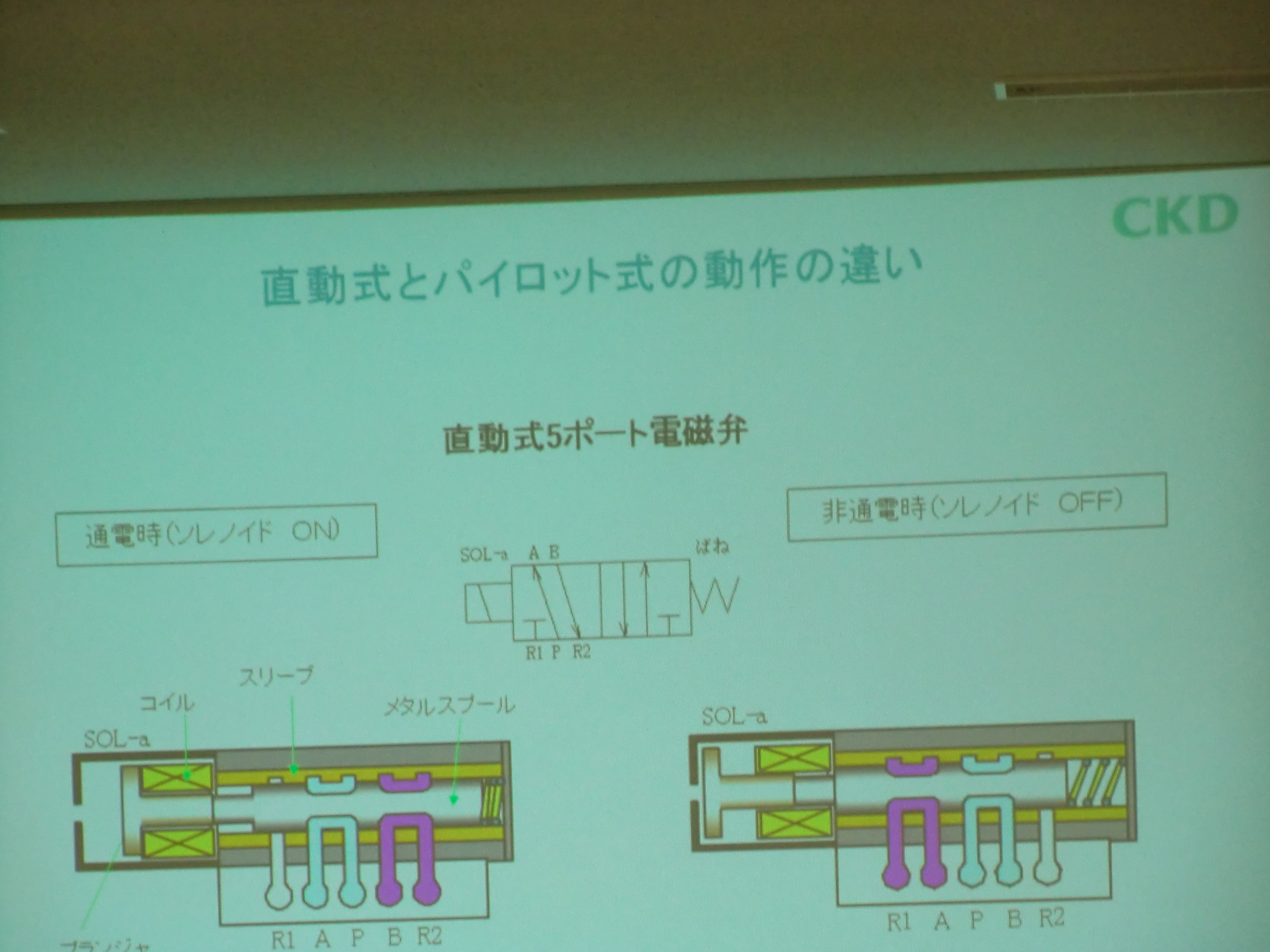 CIMG0946.JPG